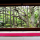 Illustration for article titled Bad Tourists Lead to Photography Ban at Japanese Temples